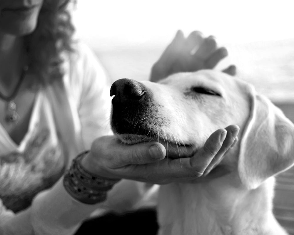 woman patting a dog