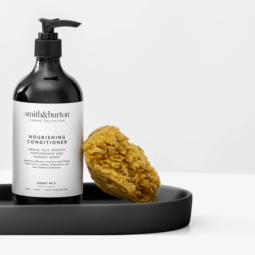 Black bottle of 'smith&burton' nourishing conditioner with a natural sponge on a white background