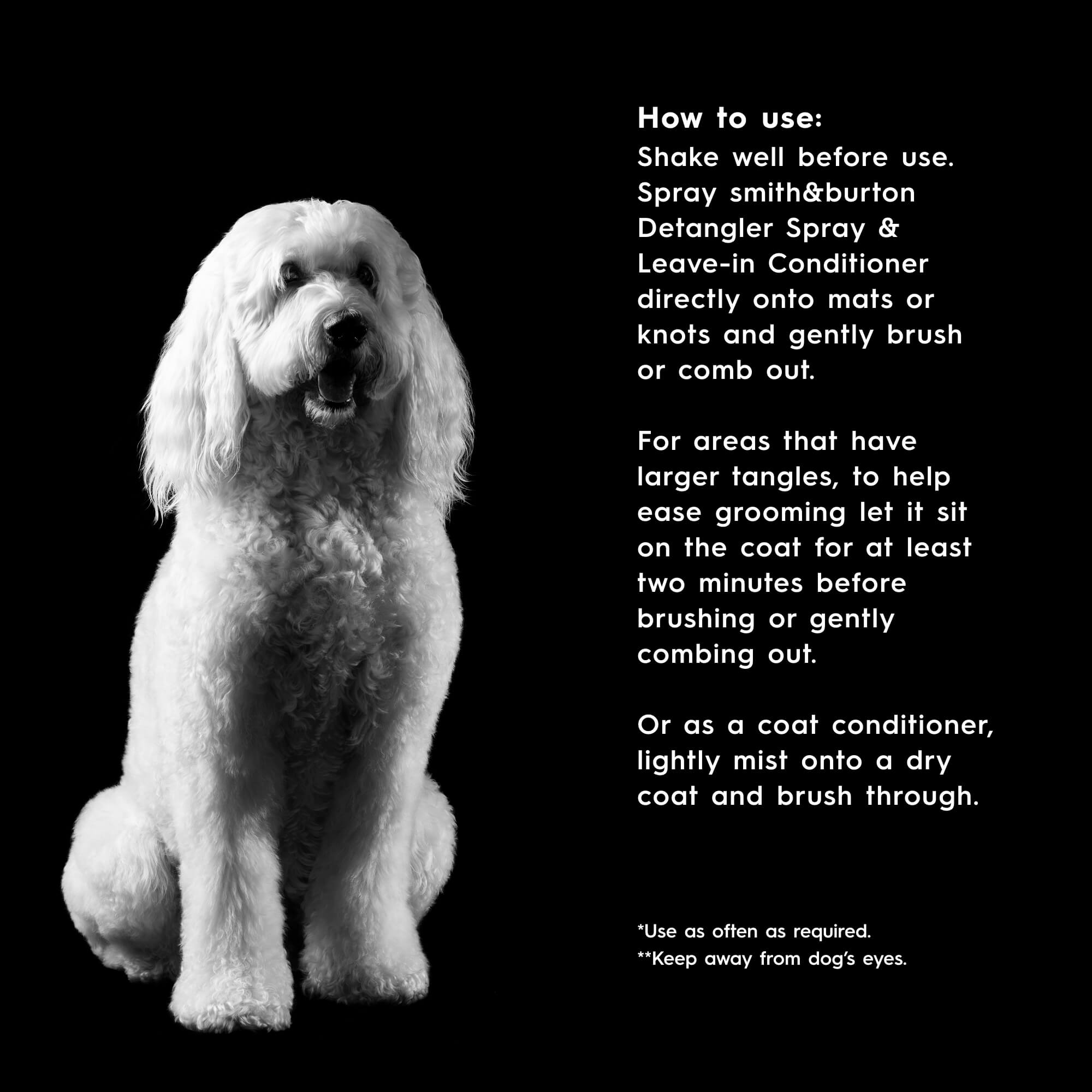 White dog with grooming instructions on a black background