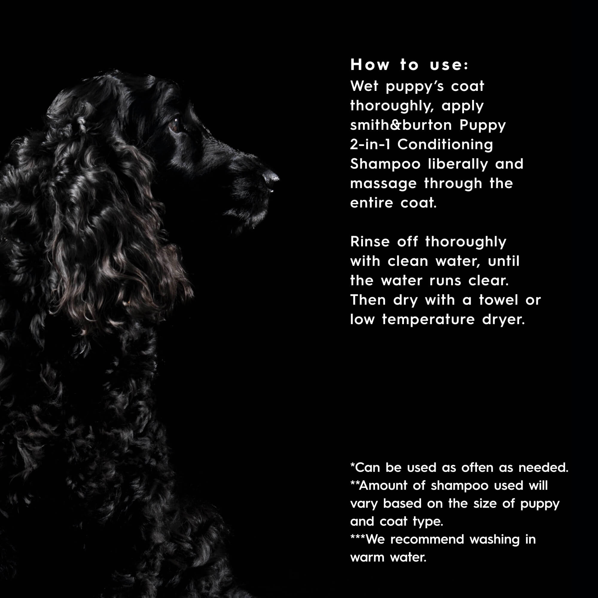 Black and white dog with shampoo instructions on a black background
